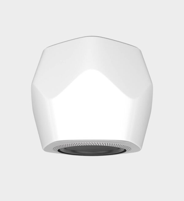 High-end wireless subwoofer - Imagem 2