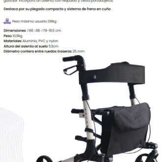 ANDARILHO COM 4 RODAS E COM ENCOSTO PREMIUM